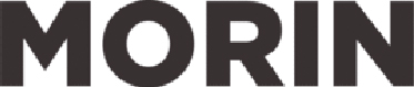Logo Morin Partenaire stratégique